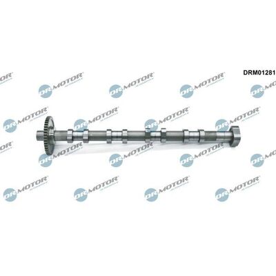Dr.motor Automotive Nockenwelle - Audi, Seat, Skoda, VW - 06H109022BA Dr.motor Automotive Nockenwelle - Audi, Seat, Skoda, VW - 06H109022BA