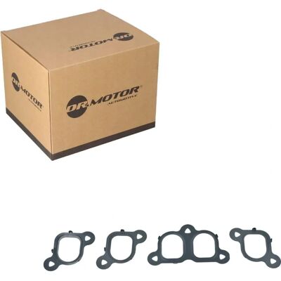 Kit guarnizioni collettore aspirazione Dr.motor VW - 2003-2010 Kit guarnizioni collettore aspirazione Dr.motor VW - 2003-2010