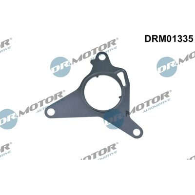 Dr.motor Dichtung Unterdruckpumpe - Dichtung Unterdruckpumpe für Alfa Romeo Giulietta, Fiat 500x, Jeep Dr.motor Dichtung Unterdruckpumpe - Dichtung Unterdruckpumpe für Alfa Romeo Giulietta, Fiat 500x, Jeep