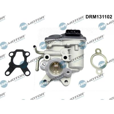 Dr.motor Automotive DRM131102 - Βαλβίδα EGR Dr.motor Automotive DRM131102 - Βαλβίδα EGR