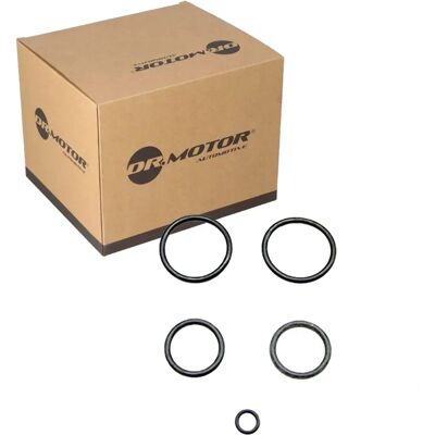Dr.motor Dichtungssatz Öl Kühler - Dichtungssatz für Audi A8, Phaeton, Touareg Dr.motor Dichtungssatz Öl Kühler - Dichtungssatz für Audi A8, Phaeton, Touareg