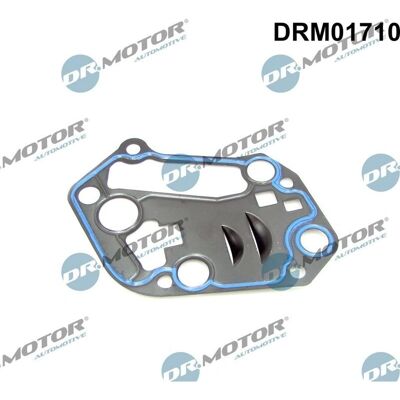 Dr.motor Automotive Ölfiltergehäuse Dichtung - Audi A4 A6 Passat Dr.motor Automotive Ölfiltergehäuse Dichtung - Audi A4 A6 Passat