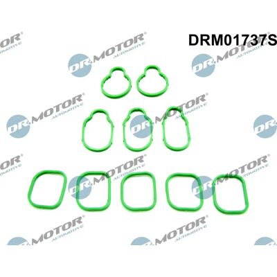 Dr.Motor Ansaugkrümmer Dichtungssatz - Seat Toledo VW Bora Golf Passat Dr.Motor Ansaugkrümmer Dichtungssatz - Seat Toledo VW Bora Golf Passat