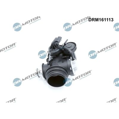 Dr.Motor Automotive DRM161113 - EGR Valve for Citroën, Peugeot, Fiat Dr.Motor Automotive DRM161113 - EGR Valve for Citroën, Peugeot, Fiat