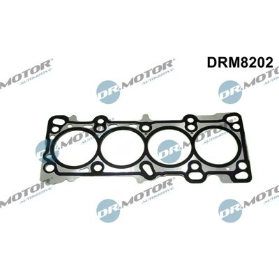 Dr.Motor Automotive - DRM8202 Dr.Motor Automotive - DRM8202