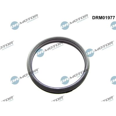 DR.MOTOR AUTOMOTIVE DRM01977 - Pieza de automóvil DR.MOTOR AUTOMOTIVE DRM01977 - Pieza de automóvil