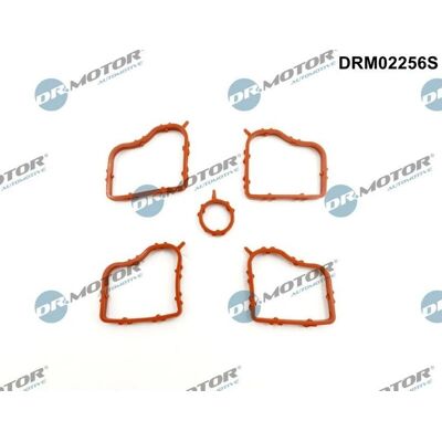 Dr.Motor Ventildeckeldichtung-satz - Für Citroën Berlingo, C-Elysee, C3, C4 Dr.Motor Ventildeckeldichtung-satz - Für Citroën Berlingo, C-Elysee, C3, C4