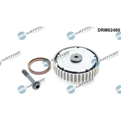 Dr.Motor Automotive DRM02480 - Regolatore dell'albero a camme Dr.Motor Automotive DRM02480 - Regolatore dell'albero a camme
