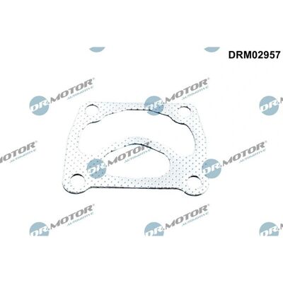 Dr.Motor DRM02957 Turbocharger Seal - Turbocharger Seal Dr.Motor DRM02957 Turbocharger Seal - Turbocharger Seal