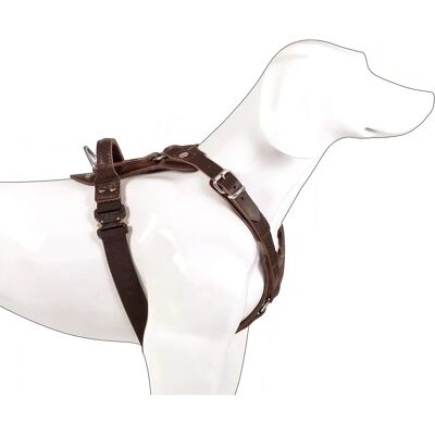 Dingo Gear AMOS Cobra System Dog Harness - Leather Dingo Gear AMOS Cobra System Dog Harness - Leather