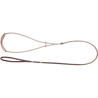Dingo Show Collar - Dog Show Collar Dingo Show Collar - Dog Show Collar