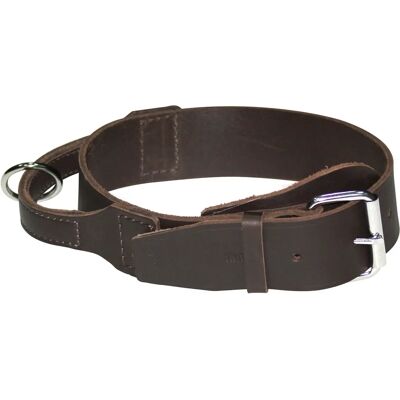 Dingo - SOFT - Brun - 2,5 cm x 65 cm - Collier pour chien - Publicité Dingo - SOFT - Brun - 2,5 cm x 65 cm - Collier pour chien - Publicité