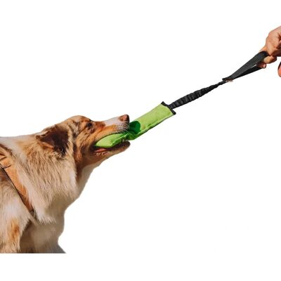 Jouet de traction pour chiens Dingo BUNGEE - Durable, Flottant, 8x27cm - Publicité Jouet de traction pour chiens Dingo BUNGEE - Durable, Flottant, 8x27cm - Publicité