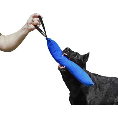 Dingo Design Dingo Gear Träningsrulle - 45cm - Blå Dingo Design Dingo Gear Träningsrulle - 45cm - Blå