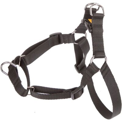 Dingo Easy Walk Hundegeschirr - Verstellbar, Schwarz - Haustierzubehör Dingo Easy Walk Hundegeschirr - Verstellbar, Schwarz - Haustierzubehör