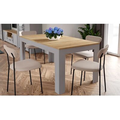 Forte Bohol Dining Table - Rectangle, Gray, 160cm Forte Bohol Dining Table - Rectangle, Gray, 160cm