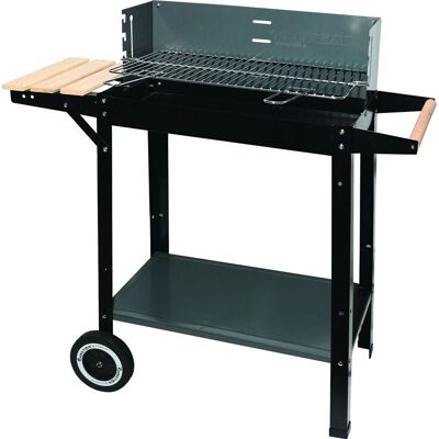 Master MG909 Rechteckiger Holzkohlegrill - 53x27cm - 83cm H Master MG909 Rechteckiger Holzkohlegrill - 53x27cm - 83cm H