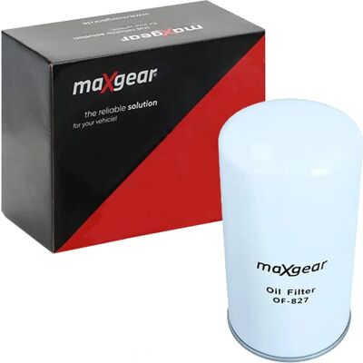 Filtro Olio Idraulico Maxgear - Lavoro Idraulico - Filtro di Alta Qualità Filtro Olio Idraulico Maxgear - Lavoro Idraulico - Filtro di Alta Qualità