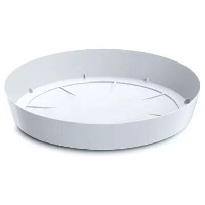 Prosperplast Lofly Sottopianta - Sottopianta Prosperplast Lofly Sottopianta - Sottopianta