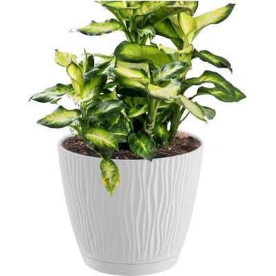Potager Prosperplast Sandy P - 2.3L, 168x168x157mm, Blanc Potager Prosperplast Sandy P - 2.3L, 168x168x157mm, Blanc