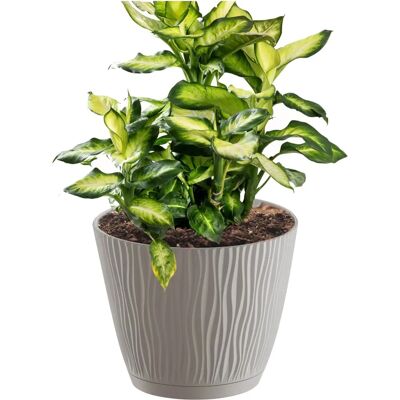 Prosperplast Modell Sandy Virágcserép 2,3L - Virágcserép Prosperplast Modell Sandy Virágcserép 2,3L - Virágcserép