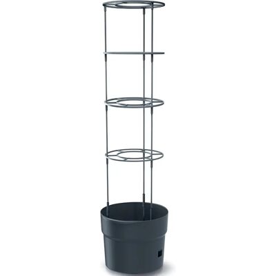 Prosperplast Tomate Grower Kunststoffpflanzgefäß - Anthrazit - (L) 29,5x29,5x23 cm Prosperplast Tomate Grower Kunststoffpflanzgefäß - Anthrazit - (L) 29,5x29,5x23 cm