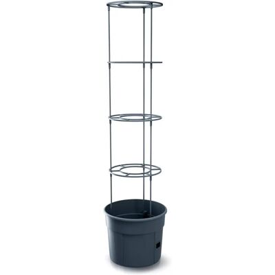 Prosperplast Grower Tomatenpflanzgefäß - Stützringe - 12L/28L Prosperplast Grower Tomatenpflanzgefäß - Stützringe - 12L/28L