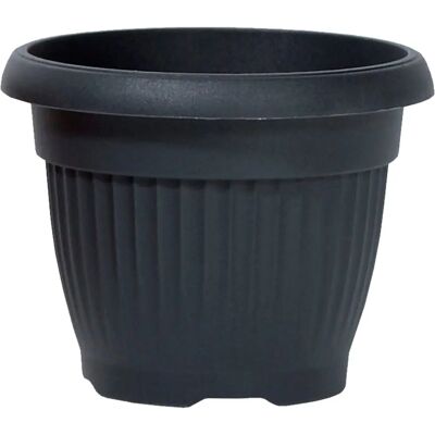 Prosperplast Maceta Terra 48L - Pot de Fleurs Résistant aux Intempéries - Publicité Prosperplast Maceta Terra 48L - Pot de Fleurs Résistant aux Intempéries - Publicité