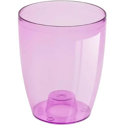Vaso Orchidea Viola Trasparente - 13cm Vaso Orchidea Viola Trasparente - 13cm