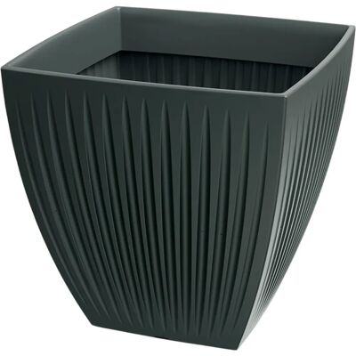 Vaso per piante Latia Quadrato Prosperplast - Antracite - Ø30x30 Vaso per piante Latia Quadrato Prosperplast - Antracite - Ø30x30