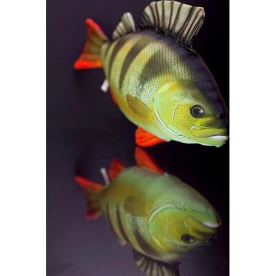 Almohada de Pesca Gaby - Pez Okoun - 50cm Almohada de Pesca Gaby - Pez Okoun - 50cm
