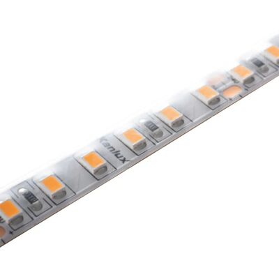 Kanlux 33314 Wodoodporna taśma LED - 5m Kanlux 33314 Wodoodporna taśma LED - 5m
