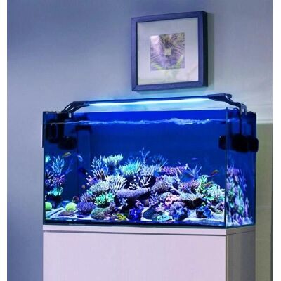 Aquael Leddy Slim Actinic 20000K 32W - Luz LED para acuario Aquael Leddy Slim Actinic 20000K 32W - Luz LED para acuario
