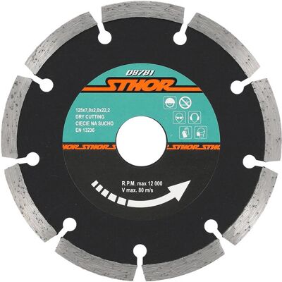 Accessoire Ponceuse d'angle TOYA SHOR 08781 - Segment 125mm Accessoire Ponceuse d'angle TOYA SHOR 08781 - Segment 125mm