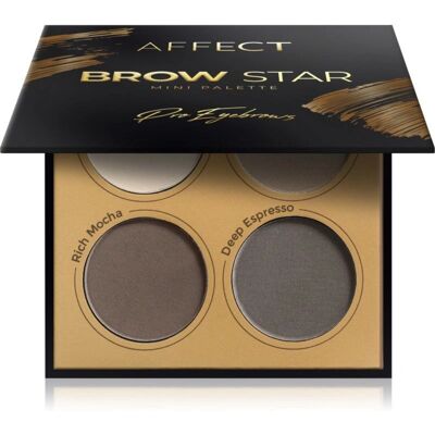 Affect Brow Star Eyebrow Palette - Eyebrow Powder for Women Affect Brow Star Eyebrow Palette - Eyebrow Powder for Women