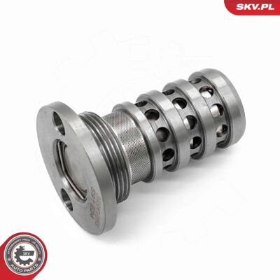 ESEN SKV 39SKV068 - Ricambio per sistema VVT ESEN SKV 39SKV068 - Ricambio per sistema VVT