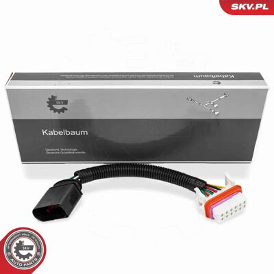 ESEN SKV 53SKV024 Modulo di controllo faro ESEN SKV 53SKV024 Modulo di controllo faro