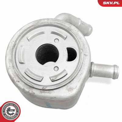 Radiatore dell'olio ESEN SKV 31SKV276 - Radiatore Radiatore dell'olio ESEN SKV 31SKV276 - Radiatore