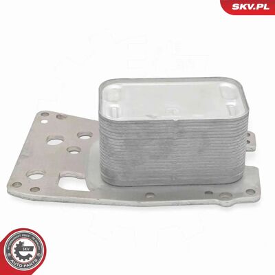 Raffreddatore dell'Olio ESEN SKV 31SKV332 - Radiatore per BMW e MINI Raffreddatore dell'Olio ESEN SKV 31SKV332 - Radiatore per BMW e MINI