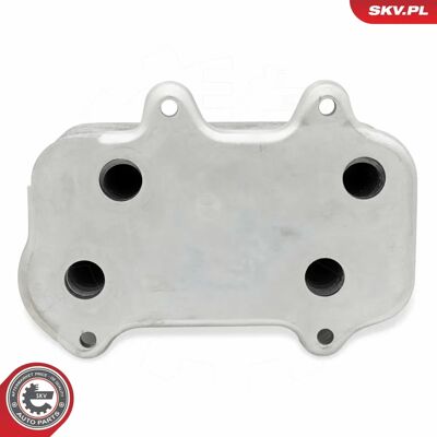 ESEN SKV 31SKV334 - Raffreddamento dell'olio motore ESEN SKV 31SKV334 - Raffreddamento dell'olio motore