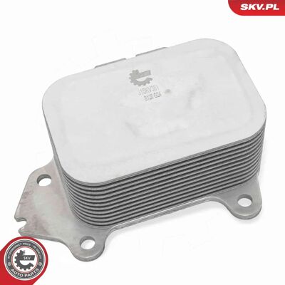 ESEN SKV 31SKV381 Βαλβίδα λαδιού - Βαλβίδα λαδιού ESEN SKV 31SKV381 Βαλβίδα λαδιού - Βαλβίδα λαδιού