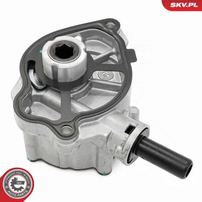 ESEN SKV 18SKV081 Vakuumpumpe für Mercedes-Benz C E - Vakuumpumpe ESEN SKV 18SKV081 Vakuumpumpe für Mercedes-Benz C E - Vakuumpumpe