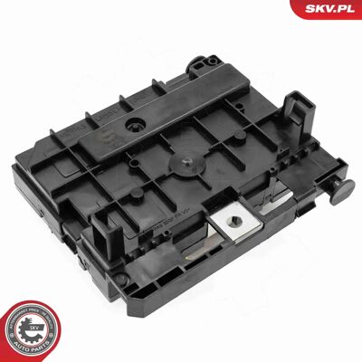 ESEN SKV 96SKV323 - Engine Control Unit ESEN SKV 96SKV323 - Engine Control Unit
