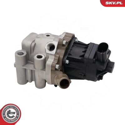 Valvola ESEN SKV - 14SKV301 OEM 5802061038 Valvola ESEN SKV - 14SKV301 OEM 5802061038