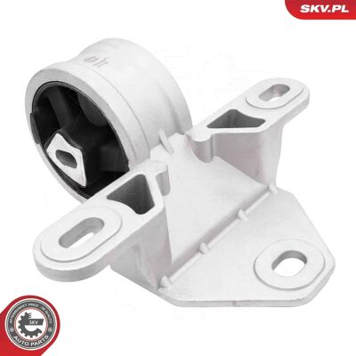 ESEN SKV 75SKV020 - Motor ESEN SKV 75SKV020 - Motor