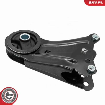 ESEN SKV 75SKV061 Motore - RENAULT OEM ESEN SKV 75SKV061 Motore - RENAULT OEM