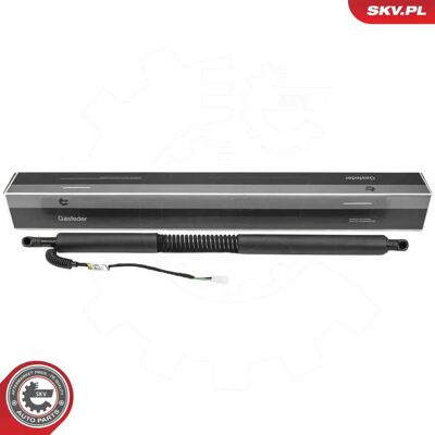 ESEN SKV 52SKV981 - Elektromotor ESEN SKV 52SKV981 - Elektromotor