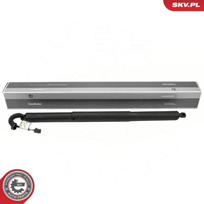 ESEN SKV 52SKV259 Elektromotor - Elektromotor ESEN SKV 52SKV259 Elektromotor - Elektromotor