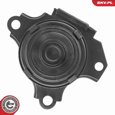 ESEN SKV 75SKV267 - Motor ESEN SKV 75SKV267 - Motor