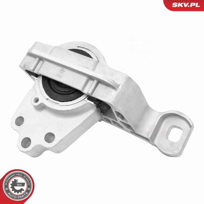 ESEN SKV 75SKV296 - Motor ESEN SKV 75SKV296 - Motor